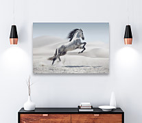 Obraz Na bielom koni zs1012